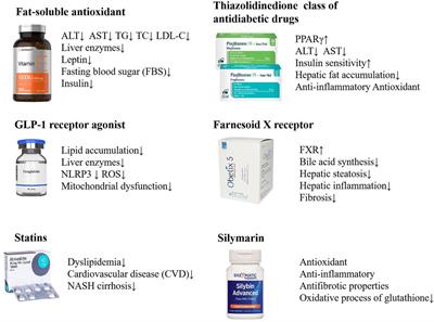 Application and mechanism of Chinese herb medicine in the treatment of non-alcoholic fatty liver disease